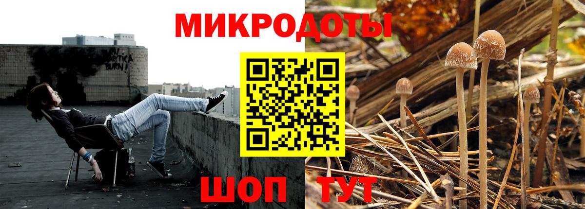 Галлюциногенные грибы мухоморы Советская Гавань